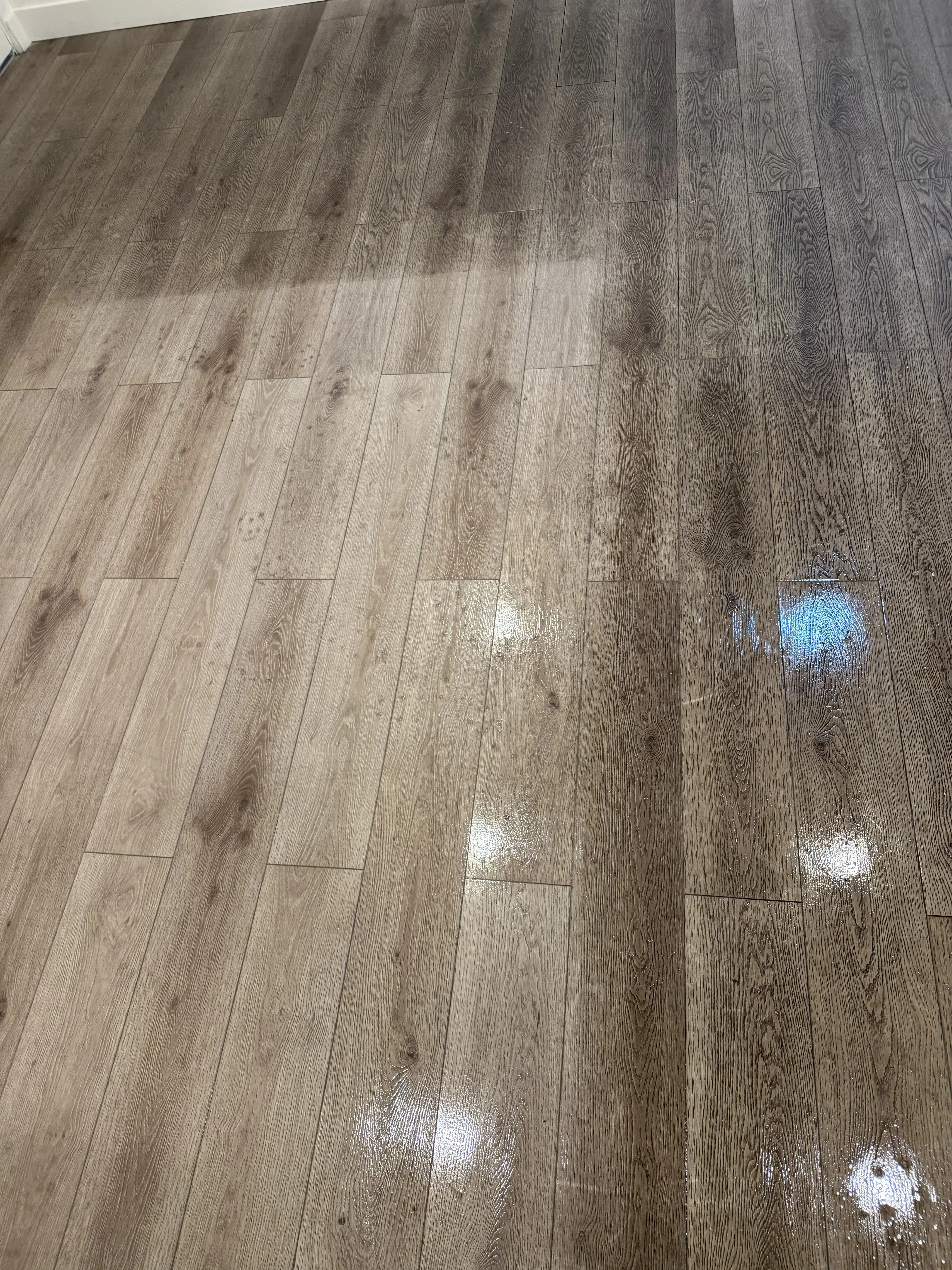 Professional floor cleaning services in Orange County